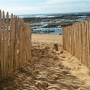 Ganivelle girondine – Clôture naturelle en châtaignier – Hauteurs 1 à 1,75 m