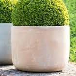 Poteries Van der Gucht terre cuite de qualité à la Pépinière de l’Airial Landes