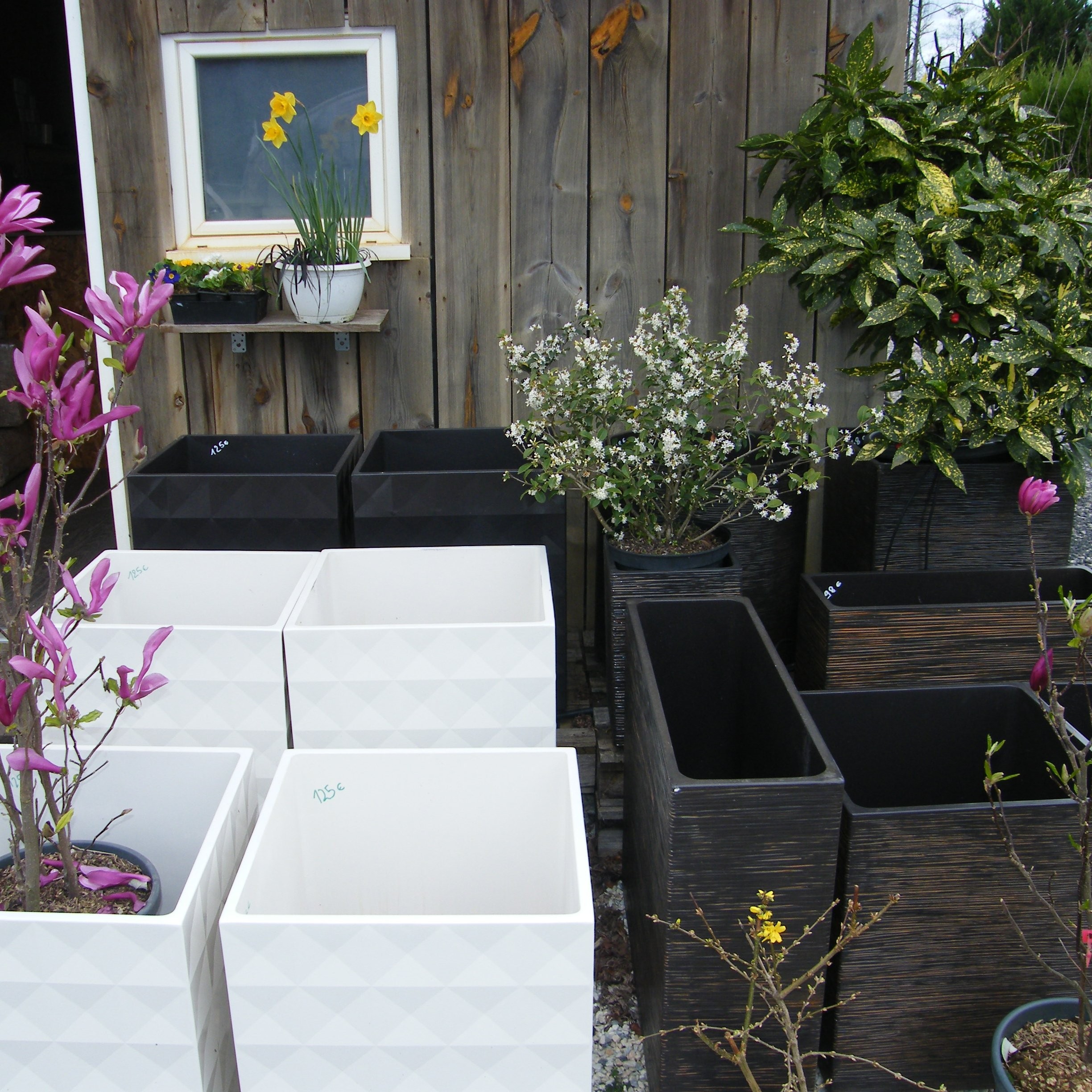 Poteries Van der Gucht terre cuite de qualité à la Pépinière de l’Airial Landes