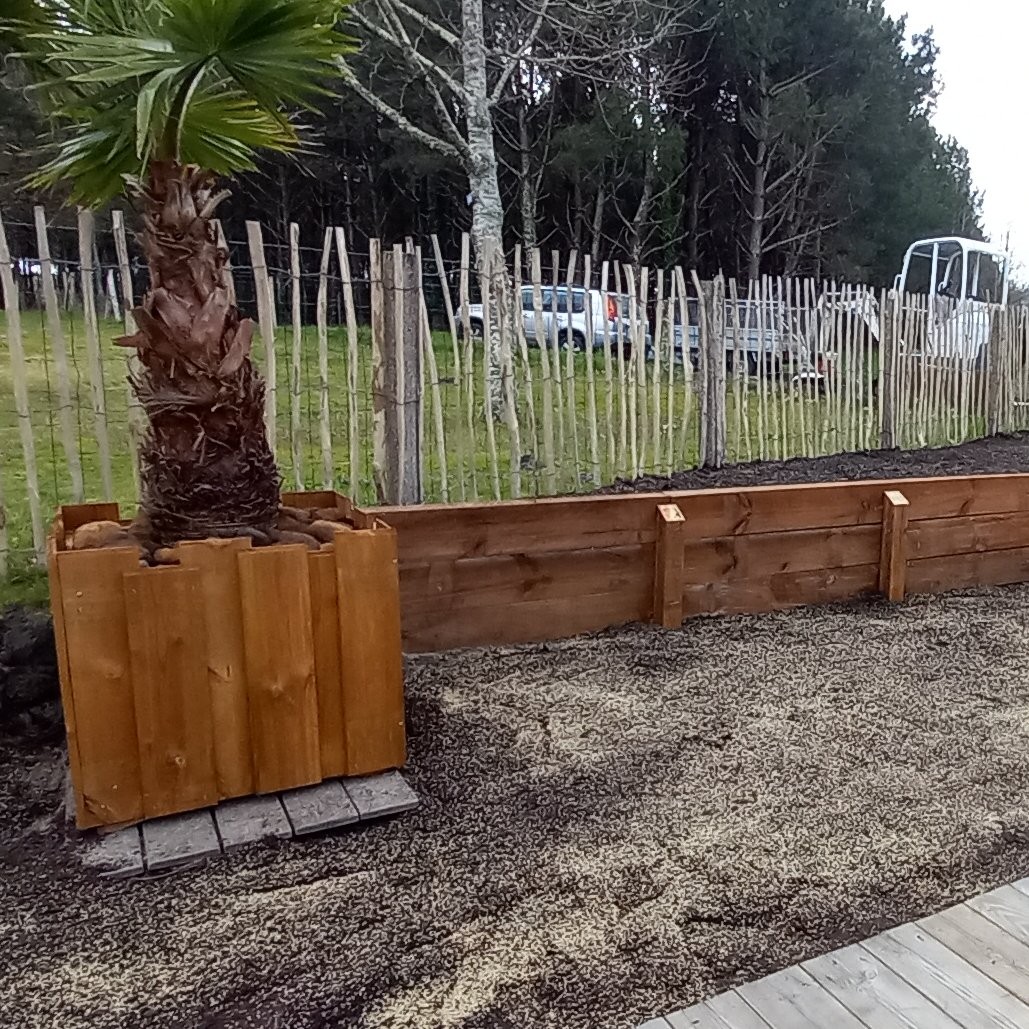 Service aménagement plantation arbres, arbustes, massif et bordure.