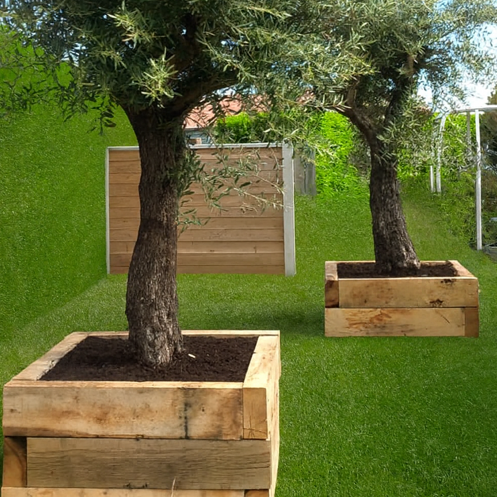 Service aménagement plantation arbres, arbustes, massif et bordure.