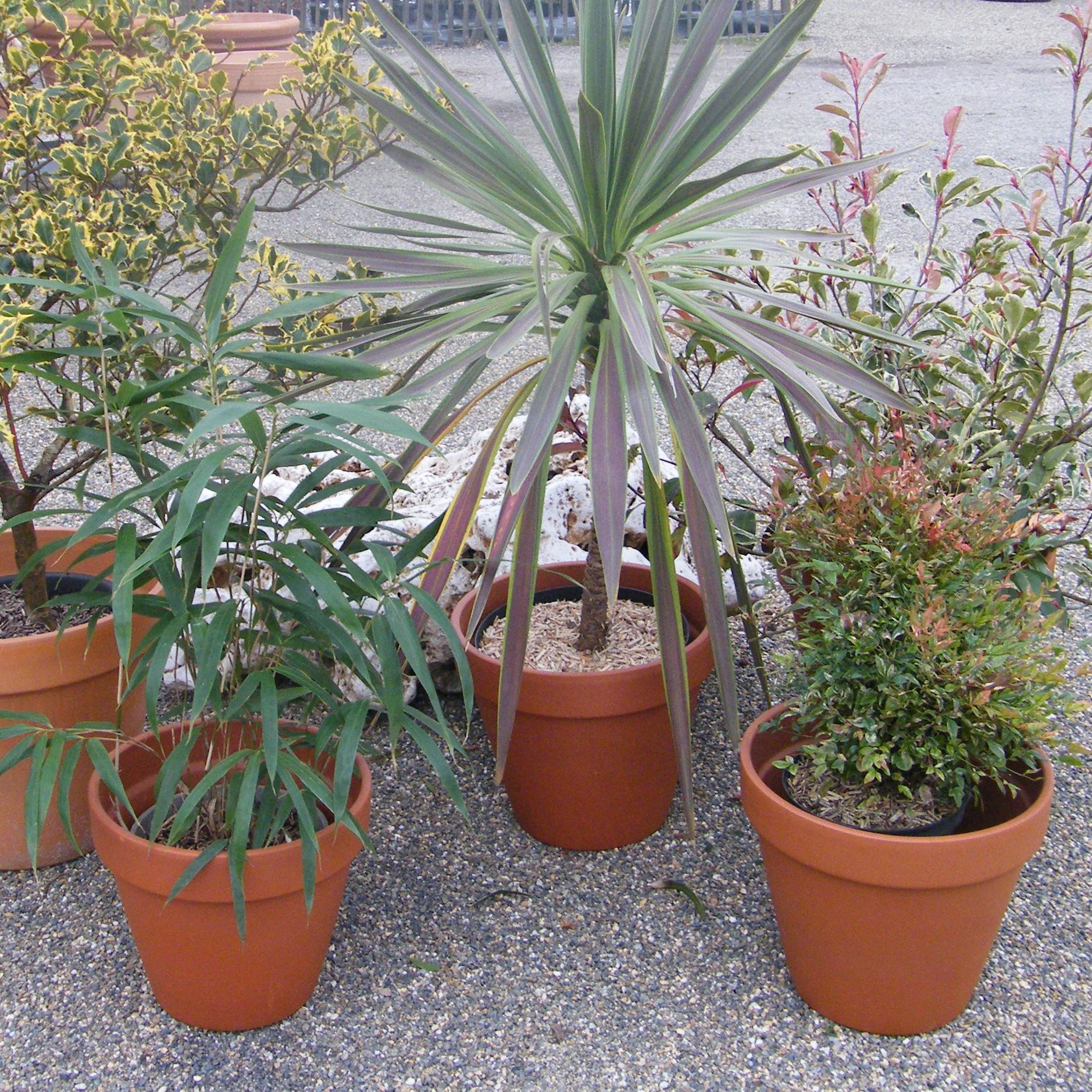 Poteries Van der Gucht terre cuite de qualité à la Pépinière de l’Airial Landes
