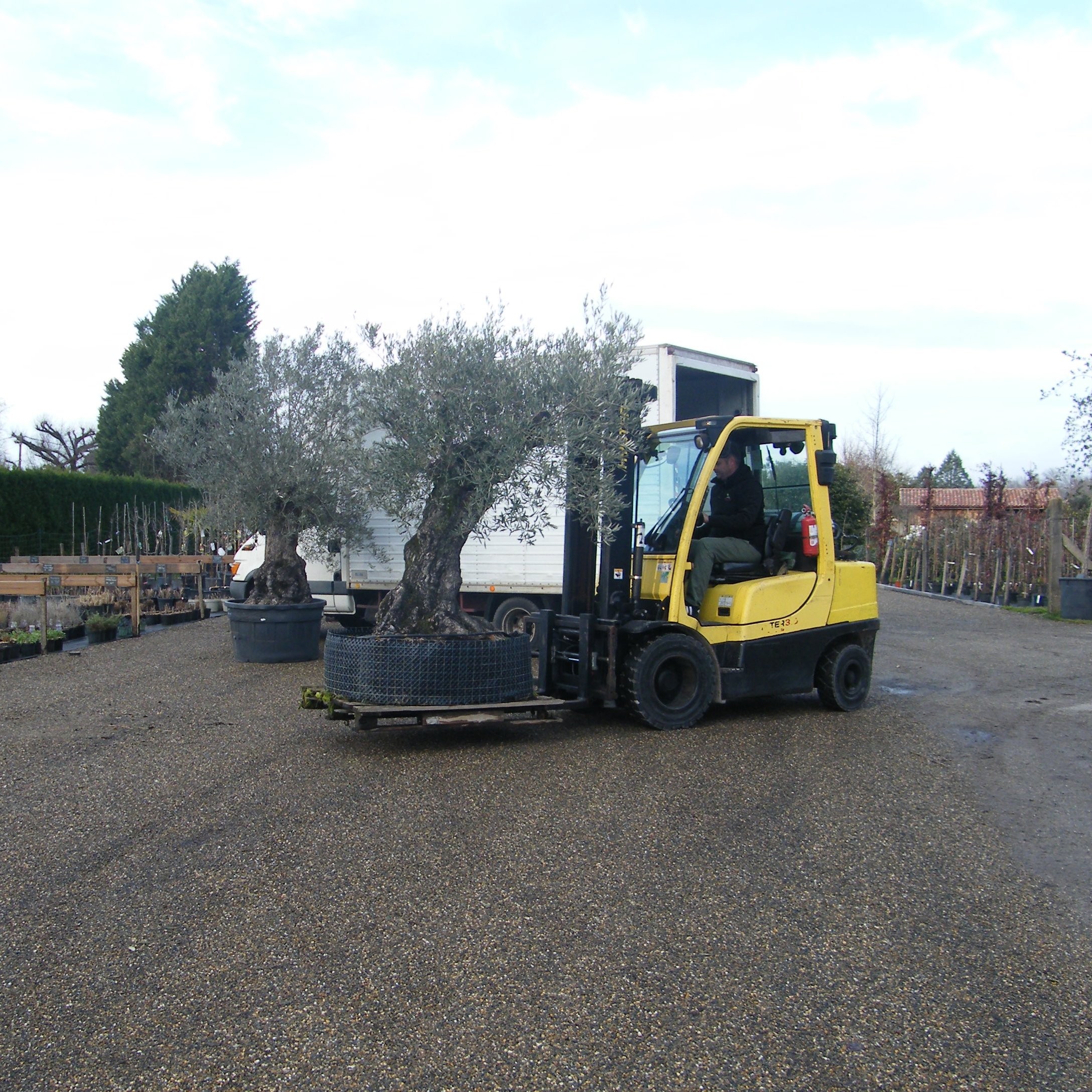 Livraison de plantes et matériaux dans le Nord des Landes – Pépinière de l’Airial