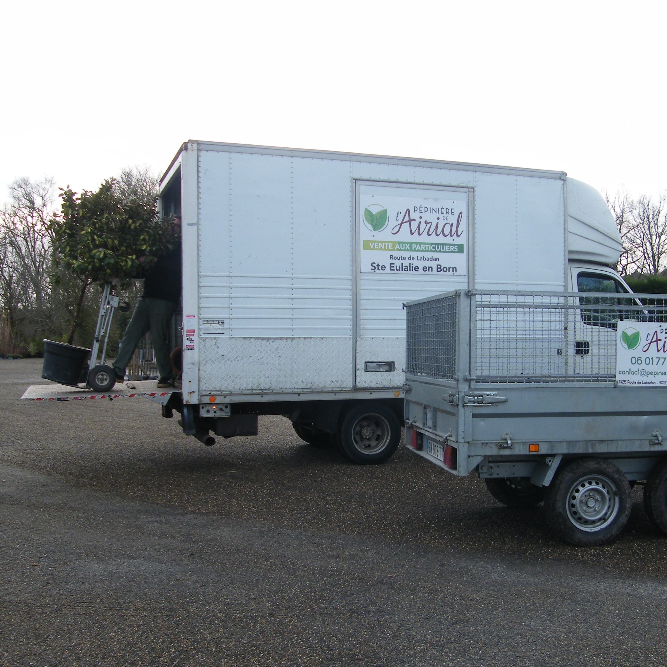 Livraison de plantes et matériaux dans le Nord des Landes – Pépinière de l’Airial
